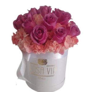 rosa-rosadas